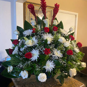 Meet your Posher, Rosa